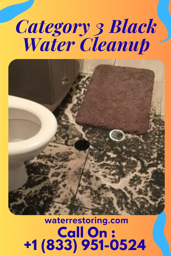 Category 3 Black Water Cleanup in North Vernon, IN