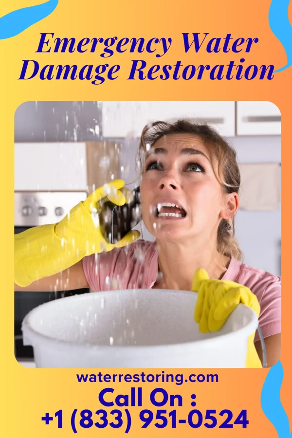 Emergency Water Damage Restoration in North Vernon, IN